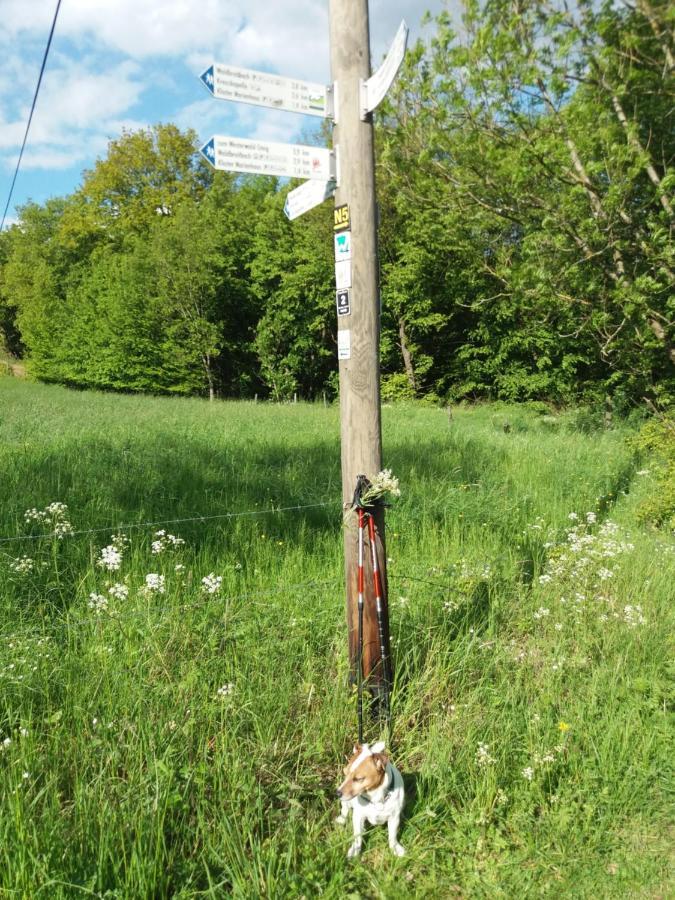 Ferienwohnung Momente Waldbreitbach Esterno foto